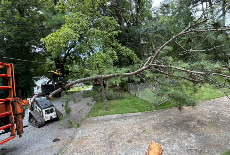 You must learn to monitor the trees of the houses, since as they can bring benefits for all who live around it, it can become a danger for us or for our community. We can avoid with good care and constant pruning, the total elimination of the trees.