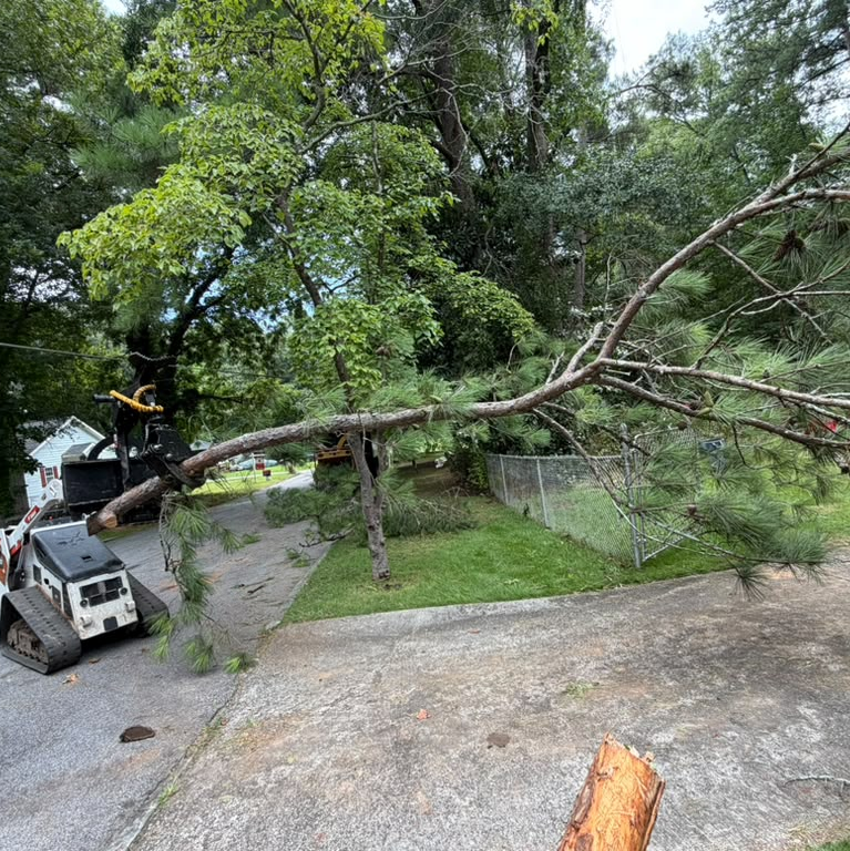 You must learn to monitor the trees of the houses, since as they can bring benefits for all who live around it, it can become a danger for us or for our community. We can avoid with good care and constant pruning, the total elimination of the trees.