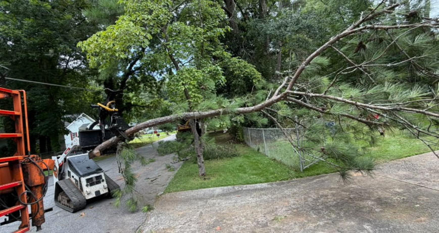 You must learn to monitor the trees of the houses, since as they can bring benefits for all who live around it, it can become a danger for us or for our community. We can avoid with good care and constant pruning, the total elimination of the trees.